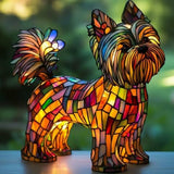 Yorkshire Terrier Illuminato