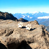 Orecchini Ipoallergenici a Forma di Zampa in Acciaio Inossidabile