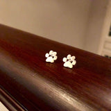 Orecchini Ipoallergenici a Forma di Zampa in Acciaio Inossidabile